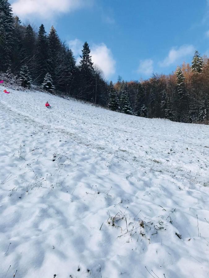 Apartamenty Kadlubek Visla Exteriér fotografie