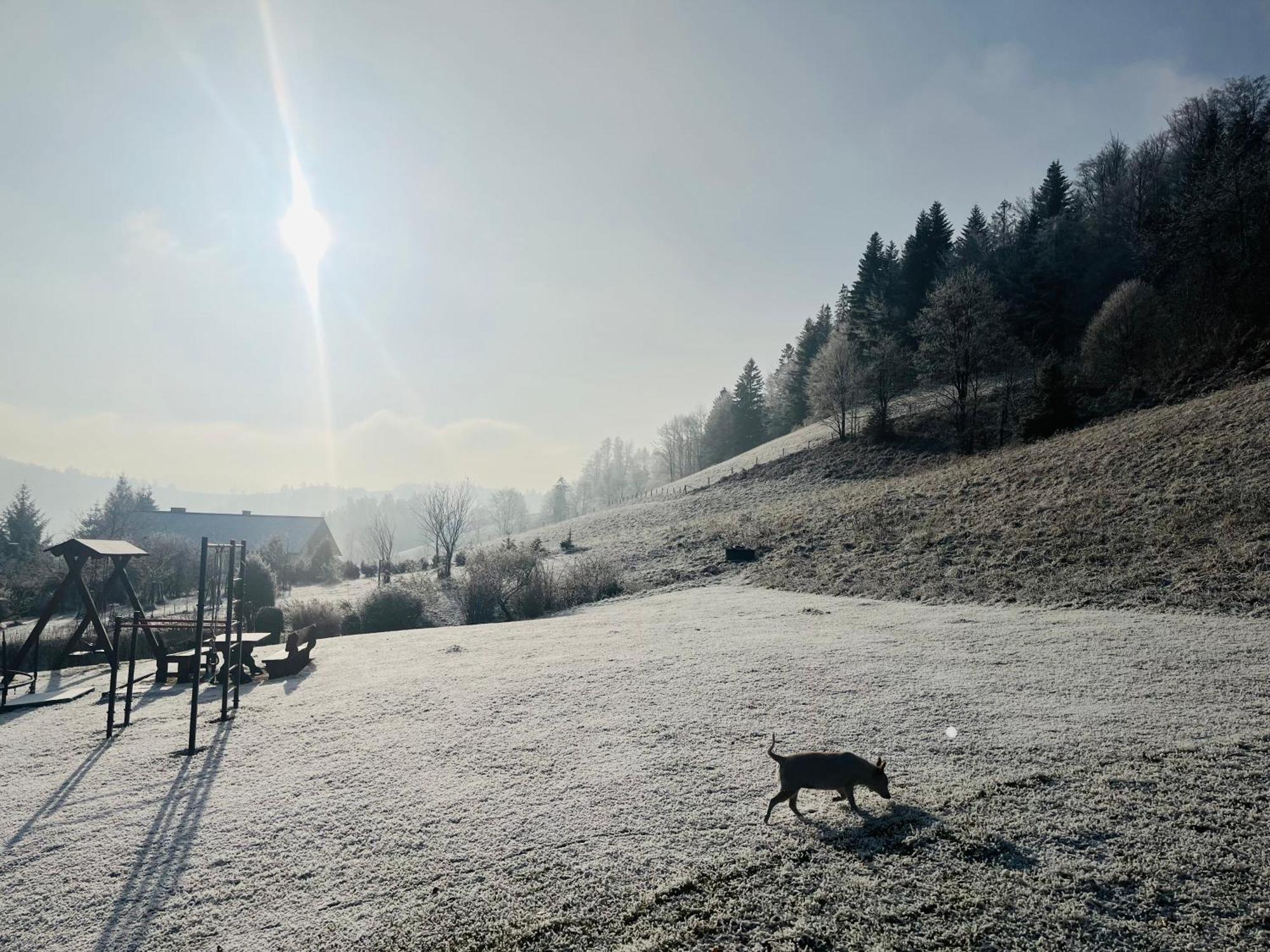 Apartamenty Kadlubek Visla Exteriér fotografie
